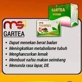 MSI Gartea