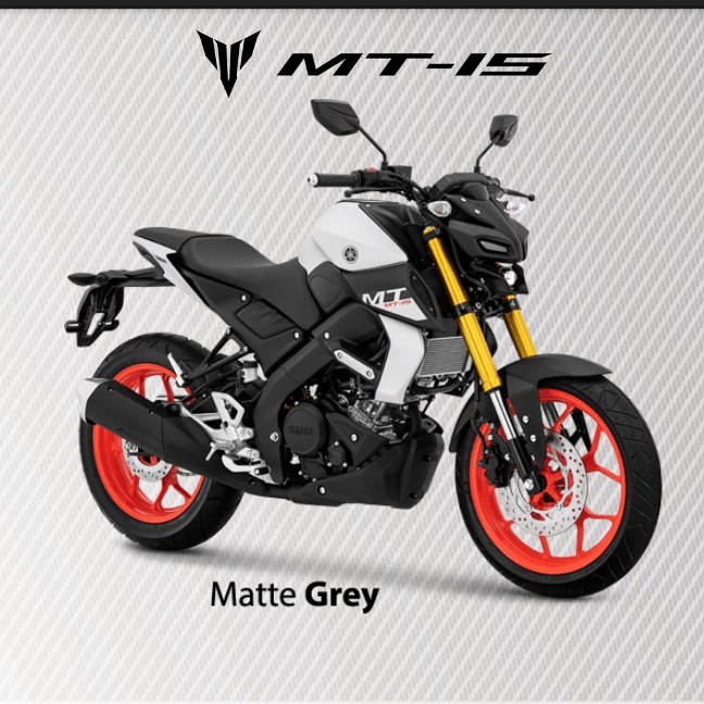 MT 15