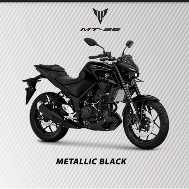 MT 25 3