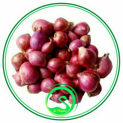 Bawang Merah Solok 