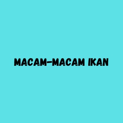 Macam-macam Ikan