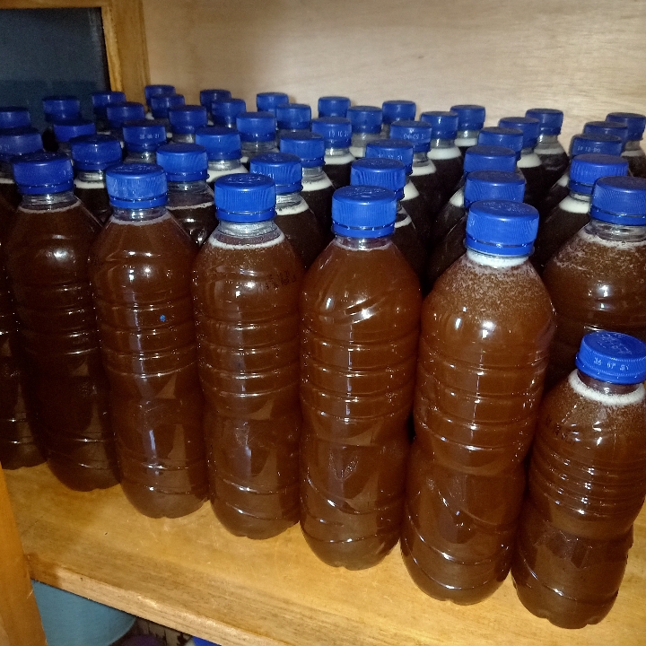 Madu Asli - 600 ML 2
