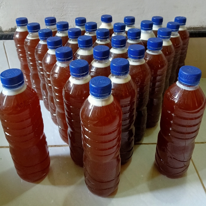 Madu Asli - 600 ML