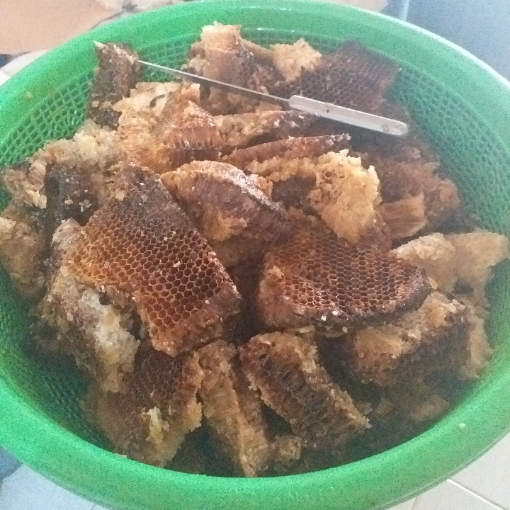 Madu Hutan Tiris 2