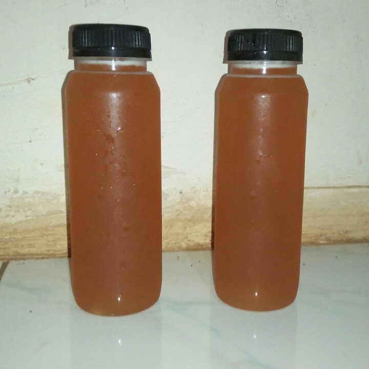 Madu Kelanceng