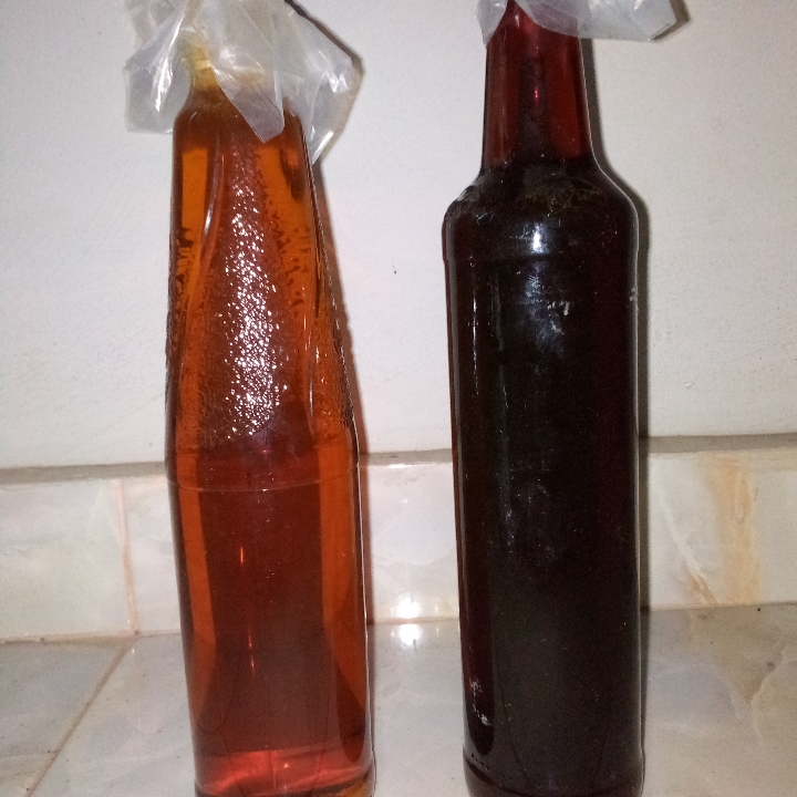 Madu Lebah