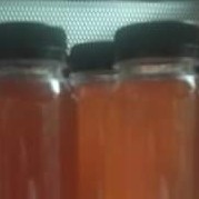 Madu Lebah Asli Kerinci 3