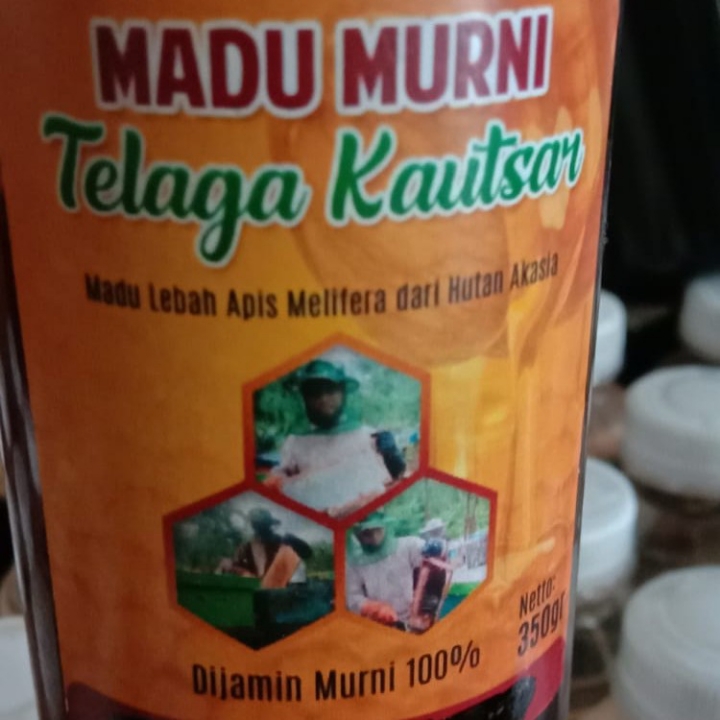 Madu Murni Hutan Akasia 2