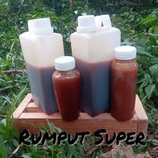 Madu Rumput