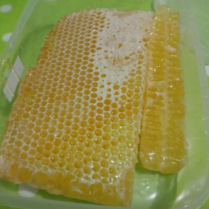 Madu Sarang Apis Malievera 3