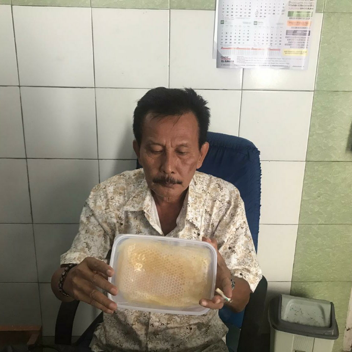 Madu Sarang Apis Malievera 4