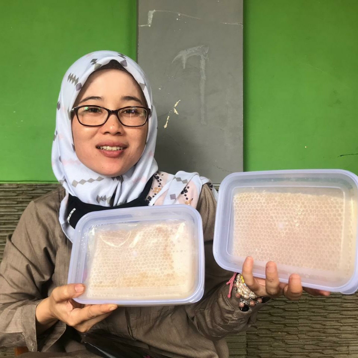 Madu Sarang Apis Malievera 5