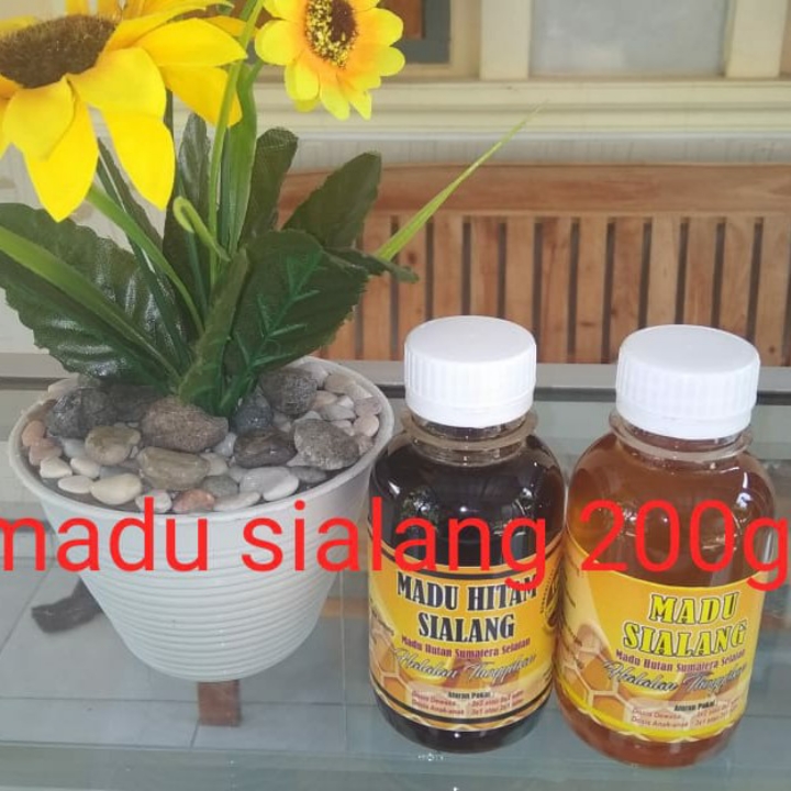 Madu Sialang Dan Madu Hitam Sialang