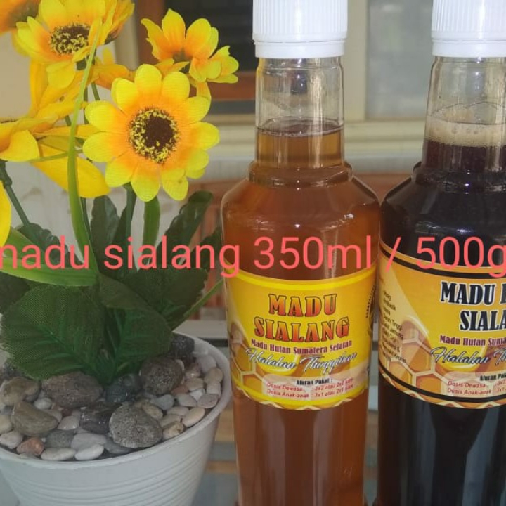 Madu Sialang Dan Madu Hitam Sialang