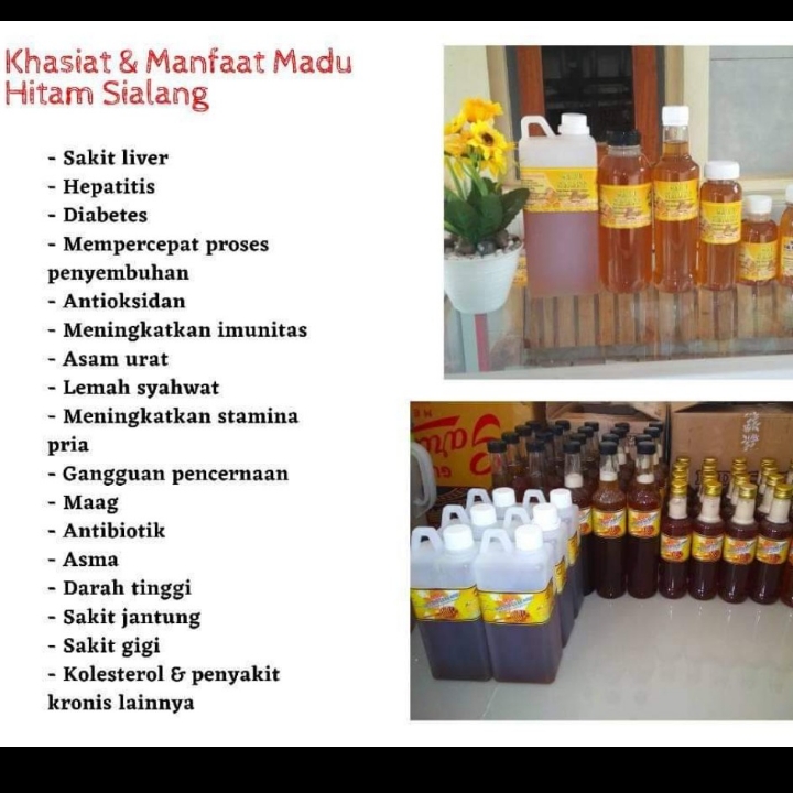 Madu Sialang Dan Madu Hitam Sialang 2