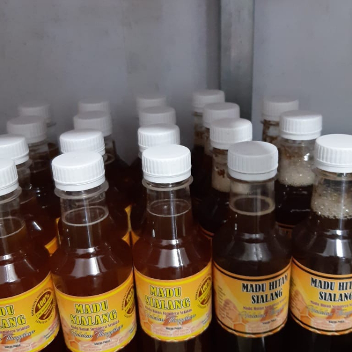 Madu Sialang Dan Madu Hitam Sialang 3