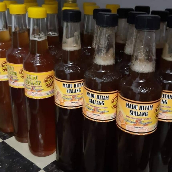 Madu Sialang Dan Madu Hitam Sialang 4