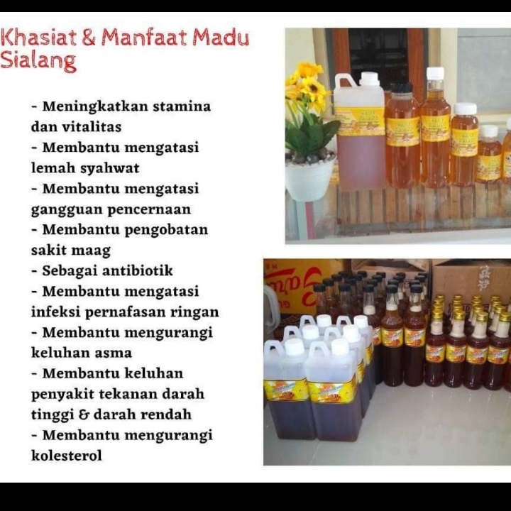 Madu Sialang Dan Madu Hitam Sialang 4
