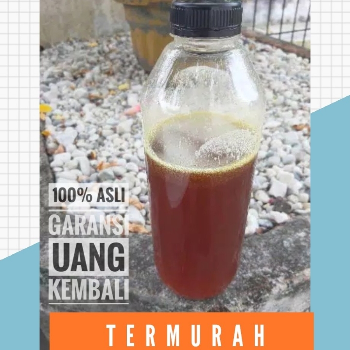 Madu Sialang Sumatra 1kg