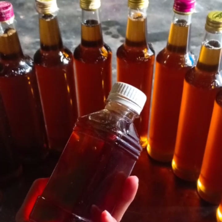 Madu Tawon Gong Murni Tanpa Cmpuran
