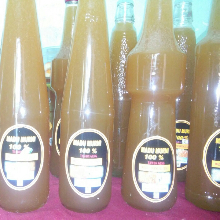 Madu Tawon Gung Murni