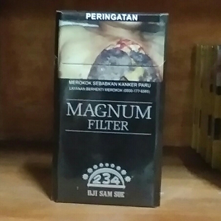 Magnum 234