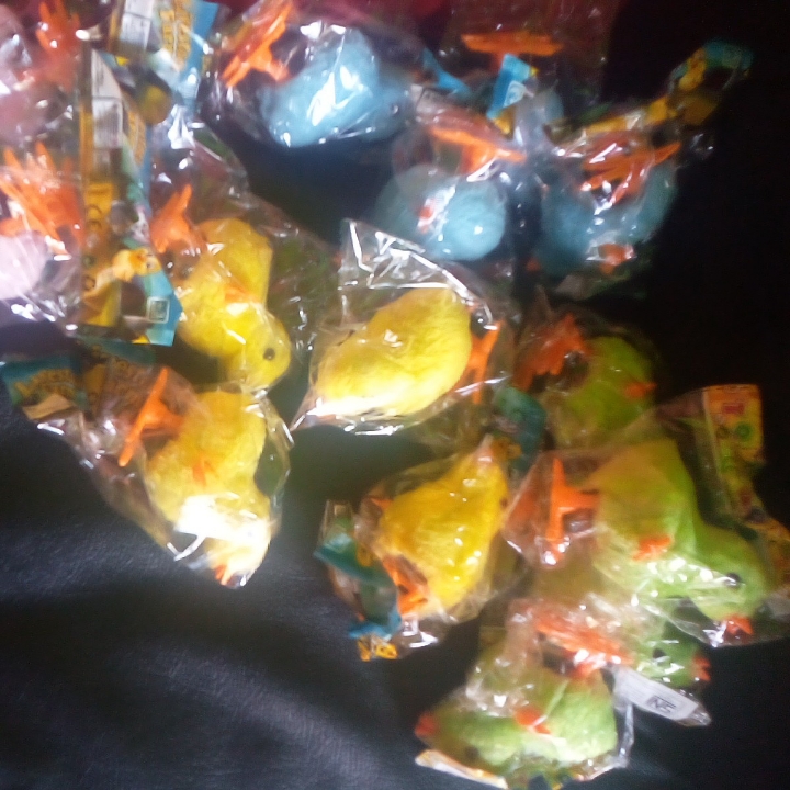 Mainan Anak Ayam Berjalan