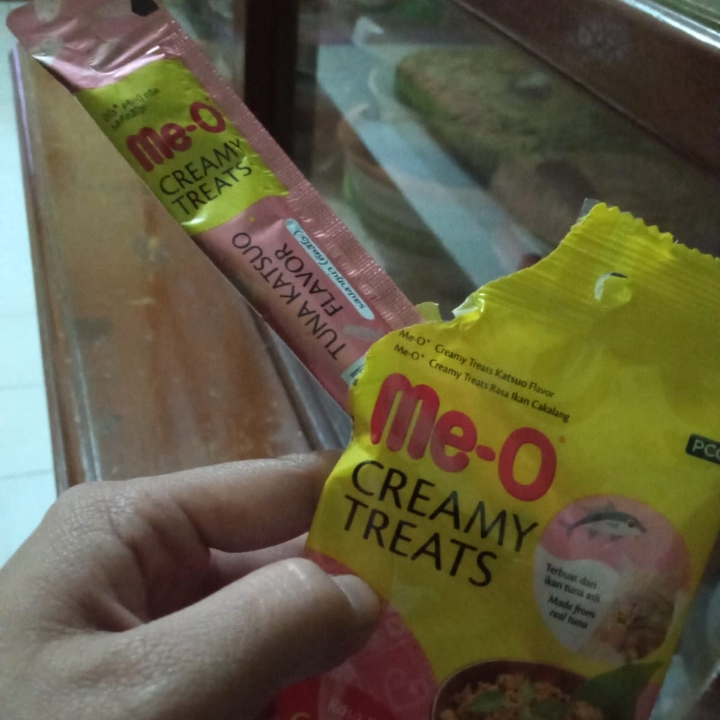 Makanan Kucing Bayi 2