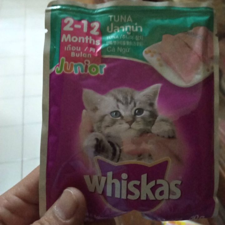 Makanan Kucing Bayi 3