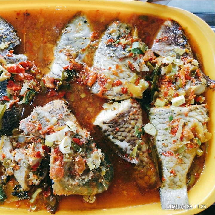 Mangael Woku - Ikan Kakatua