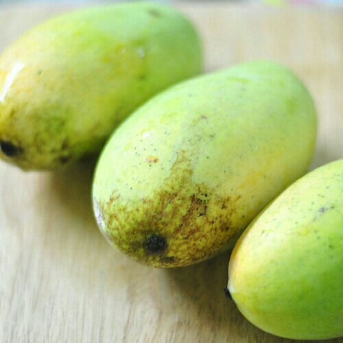 Mangga