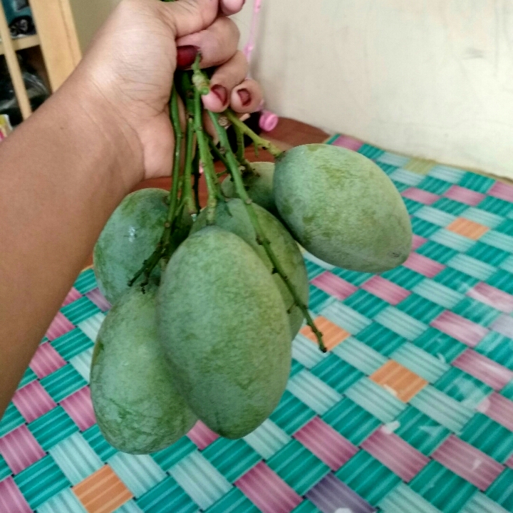 Mangga 1 KG 