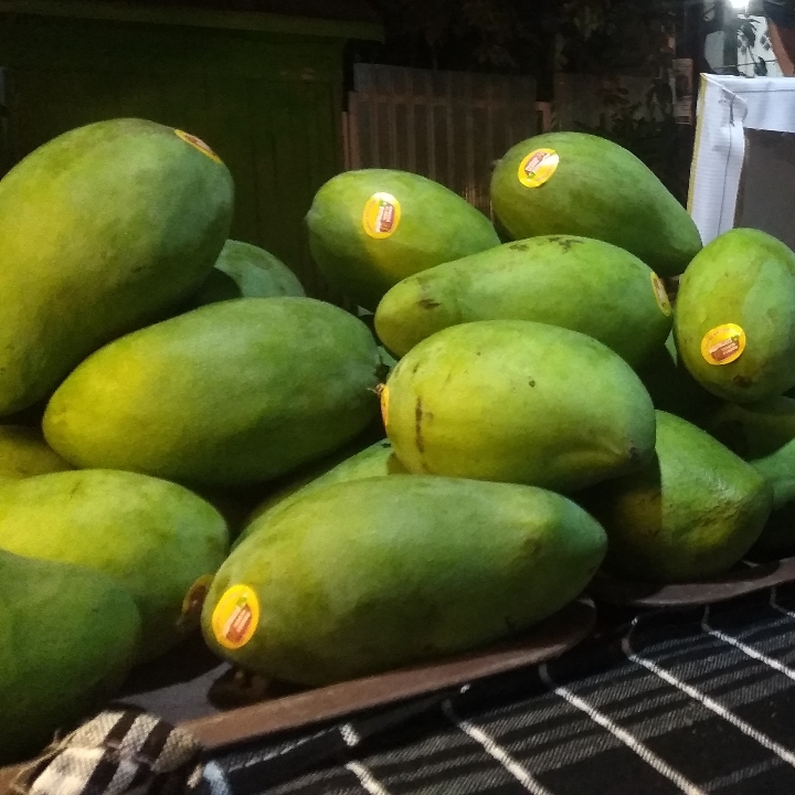 Mangga Alpukat