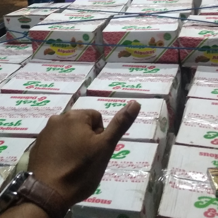 Mangga Alpukat