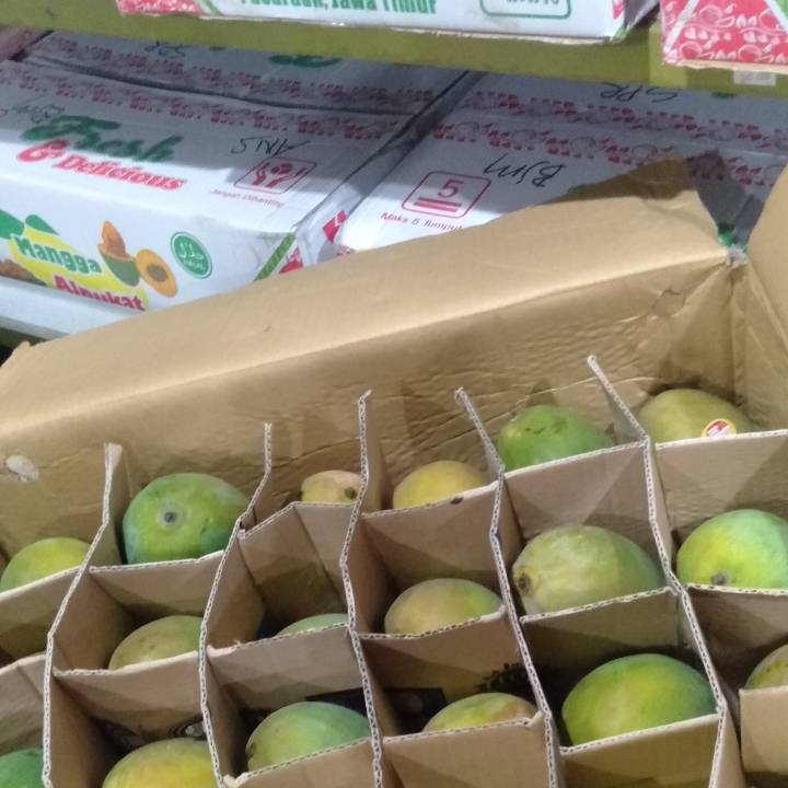 Mangga Alpukat Super
