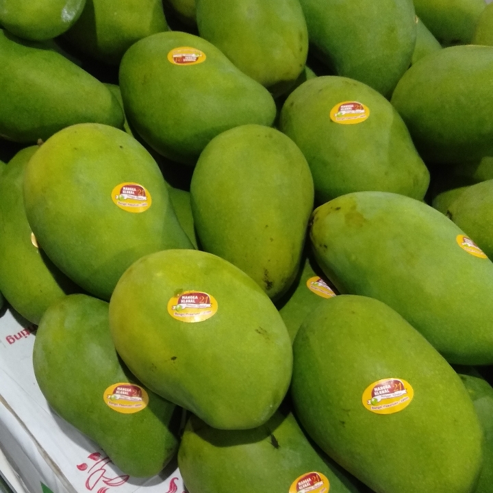Mangga Alpukat Super 2