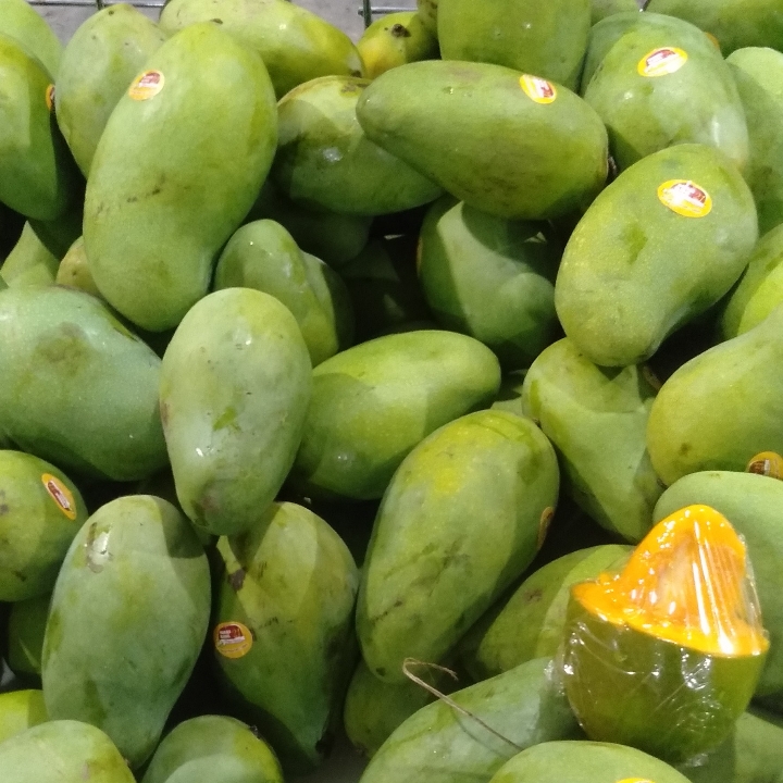 Mangga Alpukat Super 3