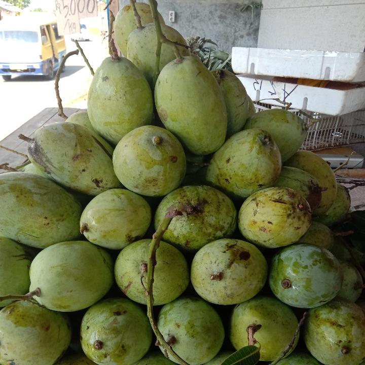 Mangga Cengkir