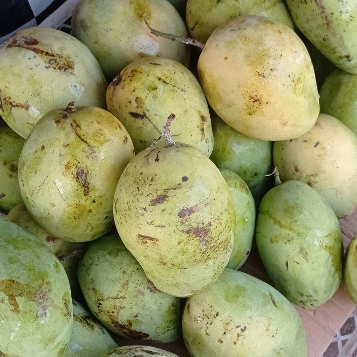 Mangga Darmayu Per 1 Kilo