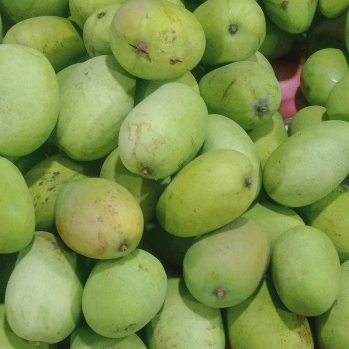 Mangga Gadu