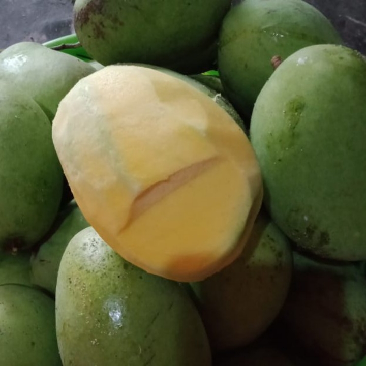 Mangga Gadung