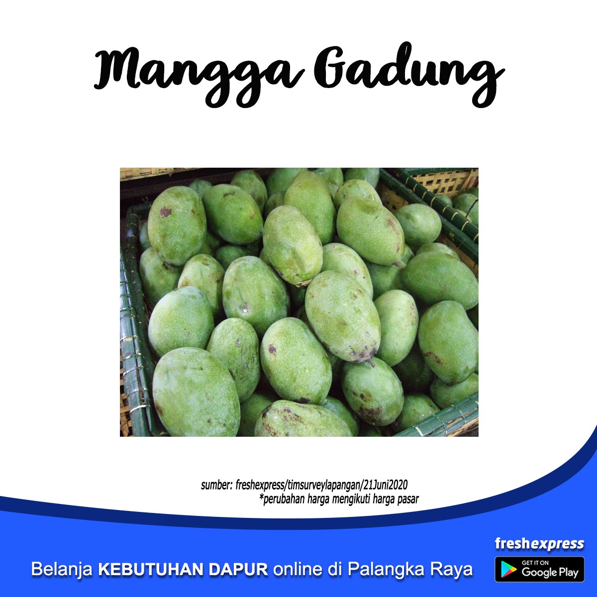 Mangga Gadung 1 Kg