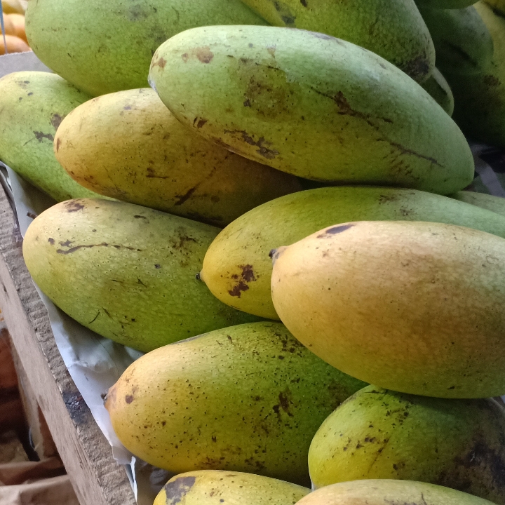 Mangga Galek