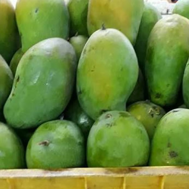 Mangga Harum Manis