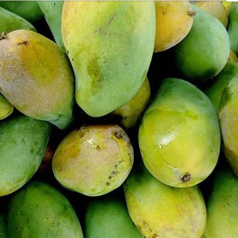 Mangga Harum Manis Bali