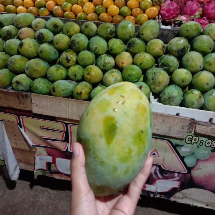 Mangga Harumanis