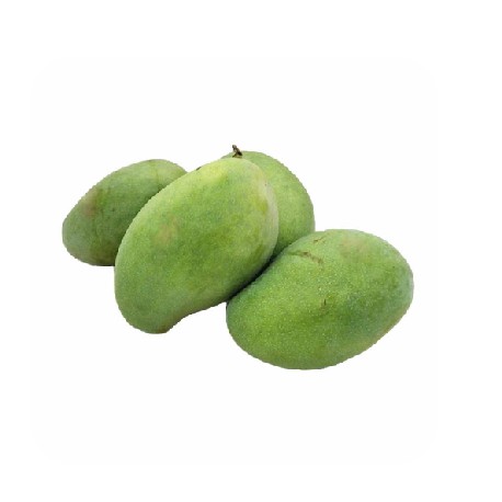 Mangga Indramayu