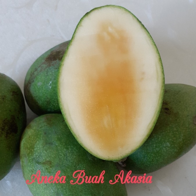 Mangga Madu