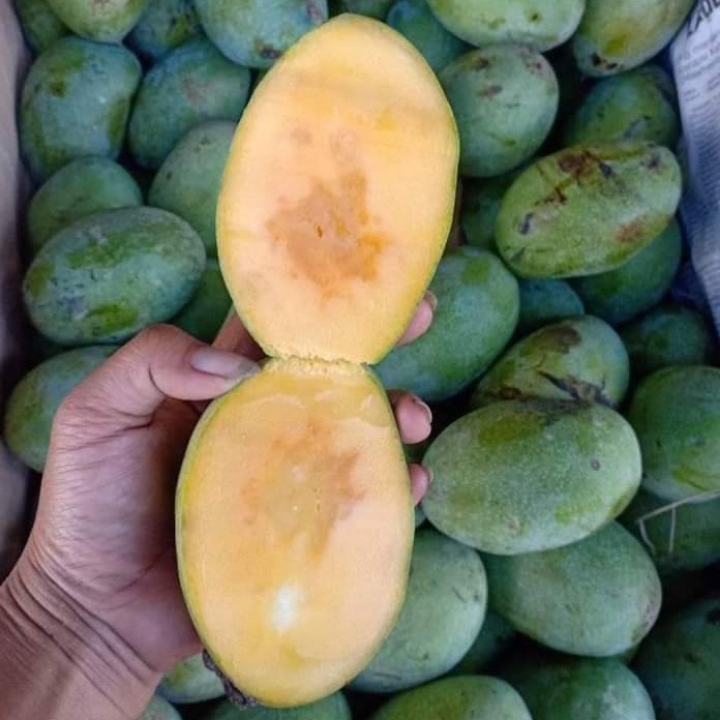 Mangga Madu Manalagi