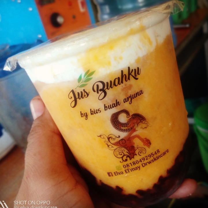 Manggo Float 2
